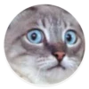 kitani 28