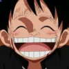 luffy 28