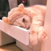 cutie kittens 28