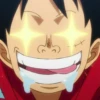 luffy 29