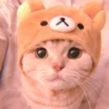cutie kittens 29