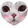 kitani 30