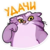 manya_the_manul_vk 15