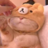 cutie kittens 30