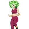 DragonBallLovers 29