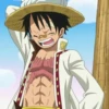 luffy 30