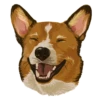 Corgi Dog 5