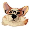 Corgi Dog 6