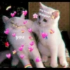 you
my love
support