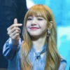 Lisa 6
