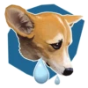 Corgi Dog 8