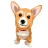 Corgi Dog 9