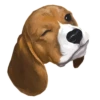 Corgi Dog 10