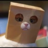 Kitty mood 11
