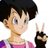 Dragon ball 8