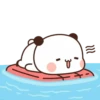 cleisya ' panda 8