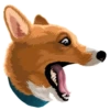 Corgi Dog 12