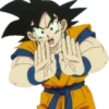 Dragon ball 12