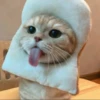 Kitty mood 14