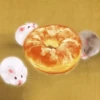 Hamsters 14