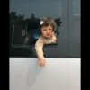 LollyGif 10