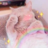 Kittenmiaw 10