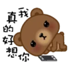 Coffee Bear 16