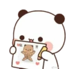 cleisya ' panda 10