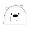 Ice Bear 10