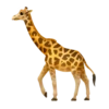 iOS 11.1 emoji 9