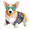 Corgi Dog 14