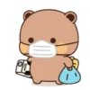 cleisya ' panda 11