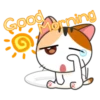 Gogil Meow 9