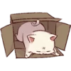 Kawaii 10