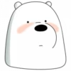 Ice Bear 15