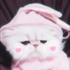 Kittenmiaw 13