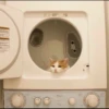 Kitty mood 18