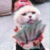 000005
3
WWW.LASGOW
500000
500000
NĂM 199
NHIÊN ĐẢNG