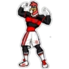 Flamengo Nação 12
