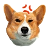 Corgi Dog 16