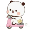 cleisya ' panda 15