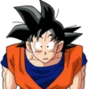 Dragon ball 16