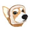 Corgi Dog 17