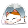 Gogil Meow 12