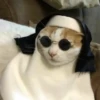 Kitty mood 19