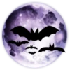 Hallows 12