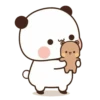cleisya ' panda 16
