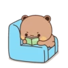 cleisya ' panda 17