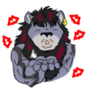 Karmakat 14