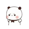 cleisya ' panda 18